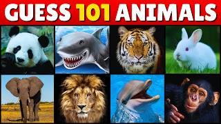 Guess 101 Animals in 3 Seconds | Easy, Medium, Hard, Impossible