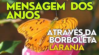 SINAIS DOS ANJOS NA BORBOLETA LARANJA - MENSAGEM CELESTIAL