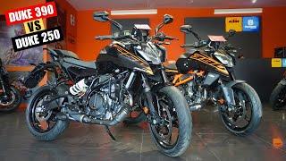 2025 KTM DUKE 390 Vs 2025 DUKE 250 Detailed Comparison - Which One Should U Buy ?