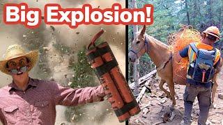 Mules Packing EXPLOSIVES!! Vlog #26