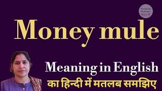 money mule meaning l meaning of money mule l money mule ka matlab Hindi mein kya hota hai l vocabula