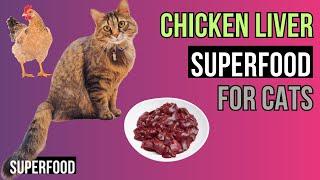 Benefits of Chicken Liver for CATS- a GREAT Superfood!