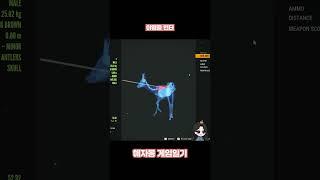 야맹증 헌터 #게임 #게임일기 #더헌터 #Thehunter #TheHunterCallOfTheWild @해자몽