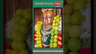 #PathalaSembuMurugan@Devullubhakthichannel