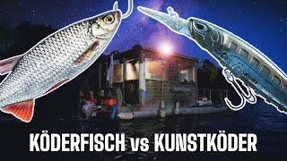 Köderfisch oder Wobbler? Auf Zander in Deutschland.