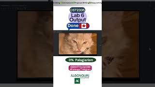 Student Work (lab) |  CST2335  Lab 6 Java AsyncTask in Android TV App | CST2335 | Algonquin College