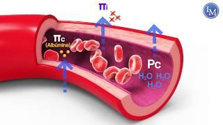 Fisiología | Fuerzas de Starling | Edema