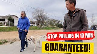 Teaching you how to do my loose leash walking method