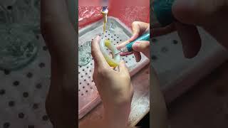 龍鳳呈祥~黃翡毛胚手鐲私人訂製，玉鐲不僅僅是傳承，更是對自己的一種取悦。#shorts #翡翠 #翡翠手鐲 #珠寶首飾 #玉石 #玉器 #配飾