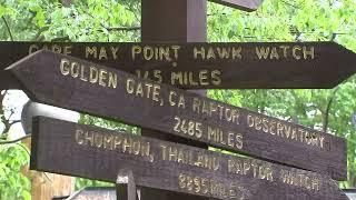 Hawk Mountain Sanctuary offers beautiful views and raptor sightings