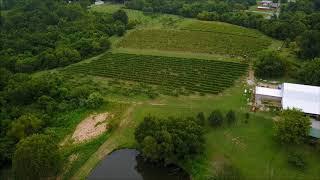 Hedman Vineyards & Winery For Sale