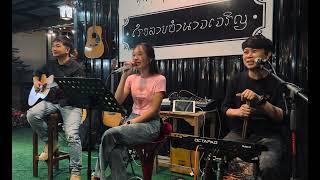 โฟล์คซอง ดนตรีสด เพลงเปิดร้านเหล้า เพลงใหม่ล่าสุด ดาวหางอัลเลย์ By วง morning market folkband