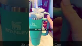 30 oz vs 40 oz STANLEY TUMBLER: The ULTIMATE Comparison!
