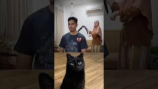 The End #shorts #funny