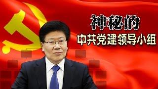 时事大家谈: 热点快评：神秘的“党建领导小组”曝光，中共“小组”知多少？