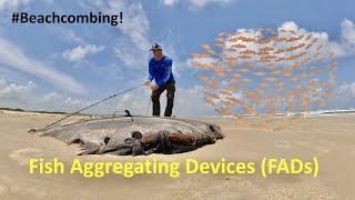 #Beachcombing - Fish Aggregating Devices (FADs)