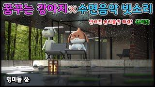 #멍마들  강아지를 잠들게 하는 영상 비 오는 연못, 강아지의 휴식 공간(12시간) - Dog sleep music