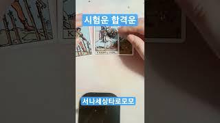 서나세상타로모모 시험운 합격운 카카오오픈톡 타로모모 #합격운#시험운#타로상담 #타로#연애운#금전운