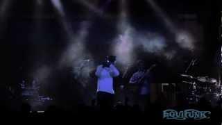 Equifunk V - Galactic - "Crazyhorse Mongoose" - full version