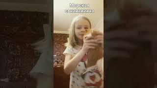 люблю