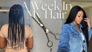 Thinning hair , big chop, braids takedown, Redo braids, trim... (Vlogmas Day 7) [10]