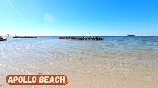 Apollo Beach Nature Preserve