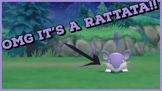 OhMyGAWD it's a Rattata!!   - Pokemon #shorts