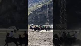 @KOKBORU_ALTAI #shortsvideo #horse #altai #kokboru #altaimountains #алтай