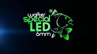 Wafter feeder Special LED Mg Carp