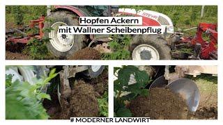 Hopfen Ackern - STEYR  4095 mit Wallner Scheibenpflug / Front- und Heckgrubber