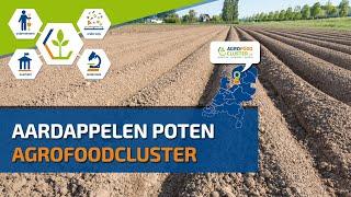 POTATO PLANTING | AARDAPPELS POTEN | MASSEY FERGUSON + MIEDEMA PLANTER