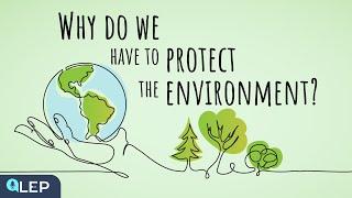 Why Should We Protect The Environment? | ️ 8 Minute English | Beginner