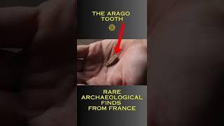Rare Archaeological Finds From France: The Arago Tooth #unsolvedmysteries #exploretheunknown