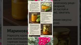  КАК СОХРАНИТЬ КАБАЧКИ НА ЗИМУ — 5 СПОСОБОВ