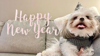 Goodbye 2021... Hello 2022 | Chase the Shih Tzu's 2021 Memories