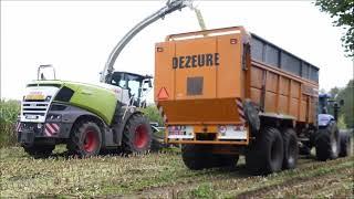 Ooms mais hakselen 2024(1) , Claas Jaguar 970