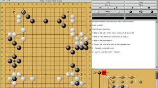 Endgame (yose) Counting for Kyu Players - Go/Igo/Weiqi/Baduk Lecture