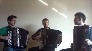 Crazy Accordion Trio - He's a Pirate