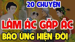 LÀM ÁC GẶP ÁC ! 20 Chuyện Nhân Quả Hay Nhất 2024 _ Khiến Hàng Triệu Người Nghe Phải Tỉnh Ngộ,Sợ Thật