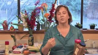 Gardening Tips & Advice : Natural Pigeon Control