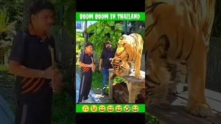 Harsh Rajput in Thailand  Dhakad News reporter in Thailand funny vlog Harsh Rajput #funny #shorts