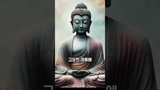 왜 척하지 말라는걸까?부처님의 가르침 #부처님말씀 #명언 #자기수행