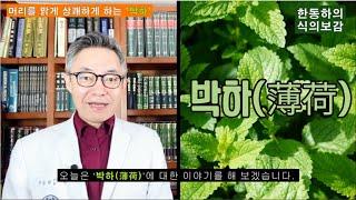 [식의보감] 머리를 맑고 상쾌하게 하는 박하(薄荷). 두통, 감기, 상열감, 소화불량, 구취, 구내염, 피부가려움증, 피로해소에 좋다. 부작용은?