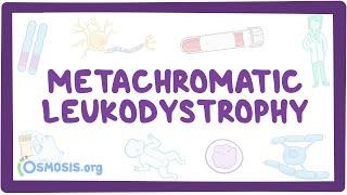 Metachromatic leukodystrophy - causes, symptoms, diagnosis, treatment, pathology