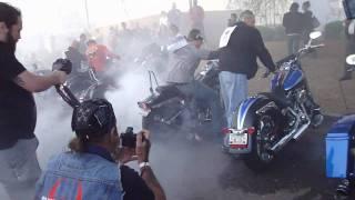 harley burnout arizona JAVIER B