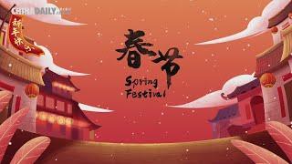 Festive China: Spring Festival