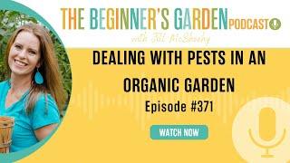 Dealing with Pests in an Organic Garden (a reality check)