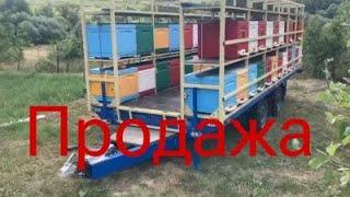 Сезон по опылению подсолнуха окончен. Продажа пчелоприцепа.