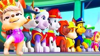  LIVE EPISODES: PAW Patrol Rescue Full Episodes Movie 2025 ! Nick Jr. HD
