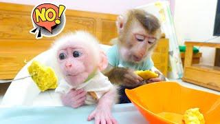 Pupu eats sweet potatoes very well, but baby monkey Poki doesn't like it very much.